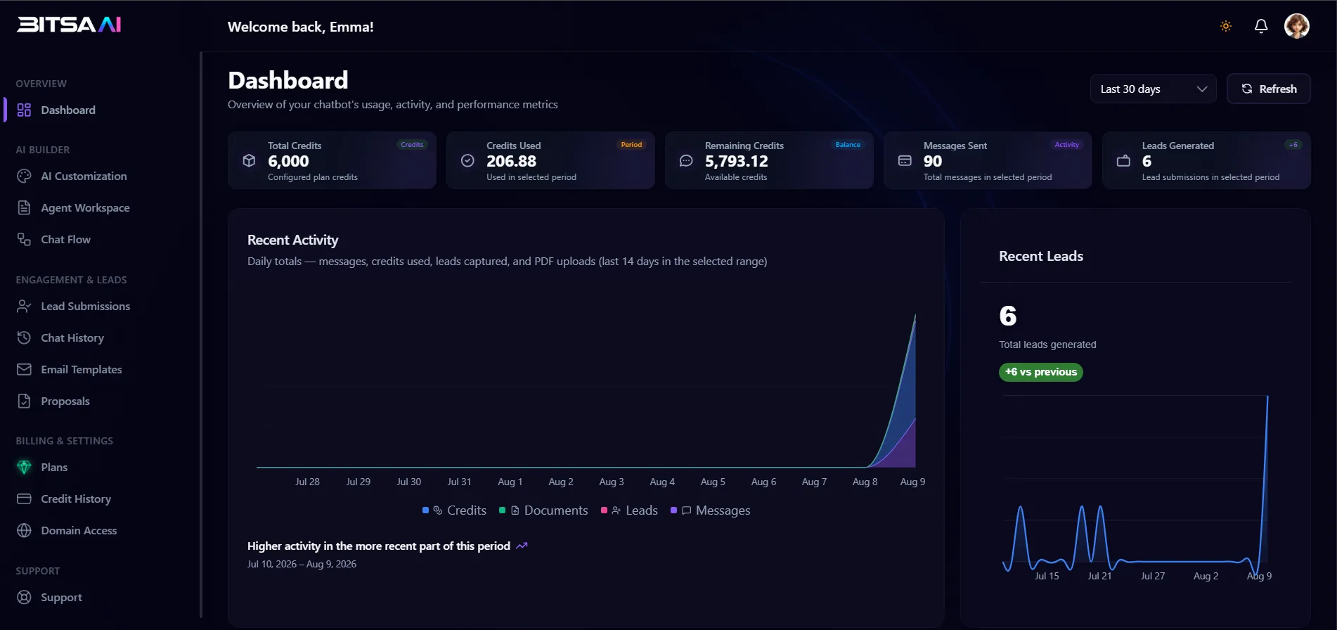 The Bitsa AI dashboard: total and remaining credits, messages sent, leads generated, a daily activity chart and a recent leads panel.